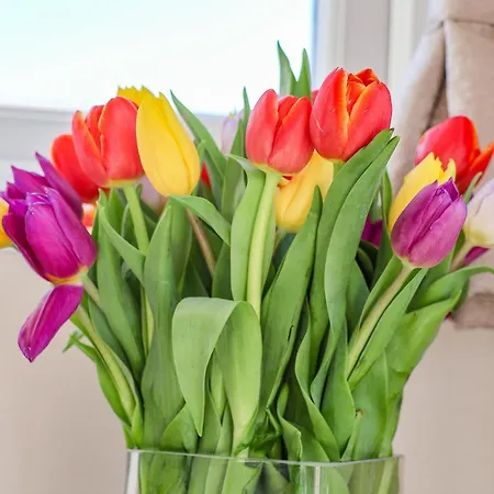 Honeysuckle Сasa de vacaciones *